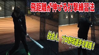 【飛距離UP】プロ、社会人選手も実践している目からウロコな打撃練習法！当たる瞬間にバットを止めると打つポイントがわかる！？