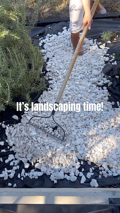 White Marble Rock landscaping 🤍 #home #flip #homeupgrade #diy #furnitureflip #hometour #spring