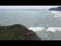 Piha beach  auckland  north island  new zealand