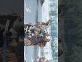 Silent Assassin kill in Ghost of Tsushima #reels #GhostOfTsushima #shorts #trending #viral #ytshorts