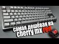 САМАЯ ДЕШЁВАЯ МЕХАНИКА НА CHERRY MX RED | Честный обзор механической клавиатуры Ikbc C87