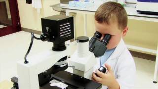 Luca's lab, part 2: Countess® automated cell counter
