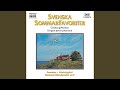 Solöga by Göteborg Wind Orchestra 🎶
