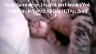 Hasta Ruhlu Okul Müdürü Mustafa Aydın