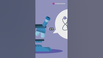 Uncertainty Principle Explained ! #uncertainty #principles #science #physics #students #foryou #2025