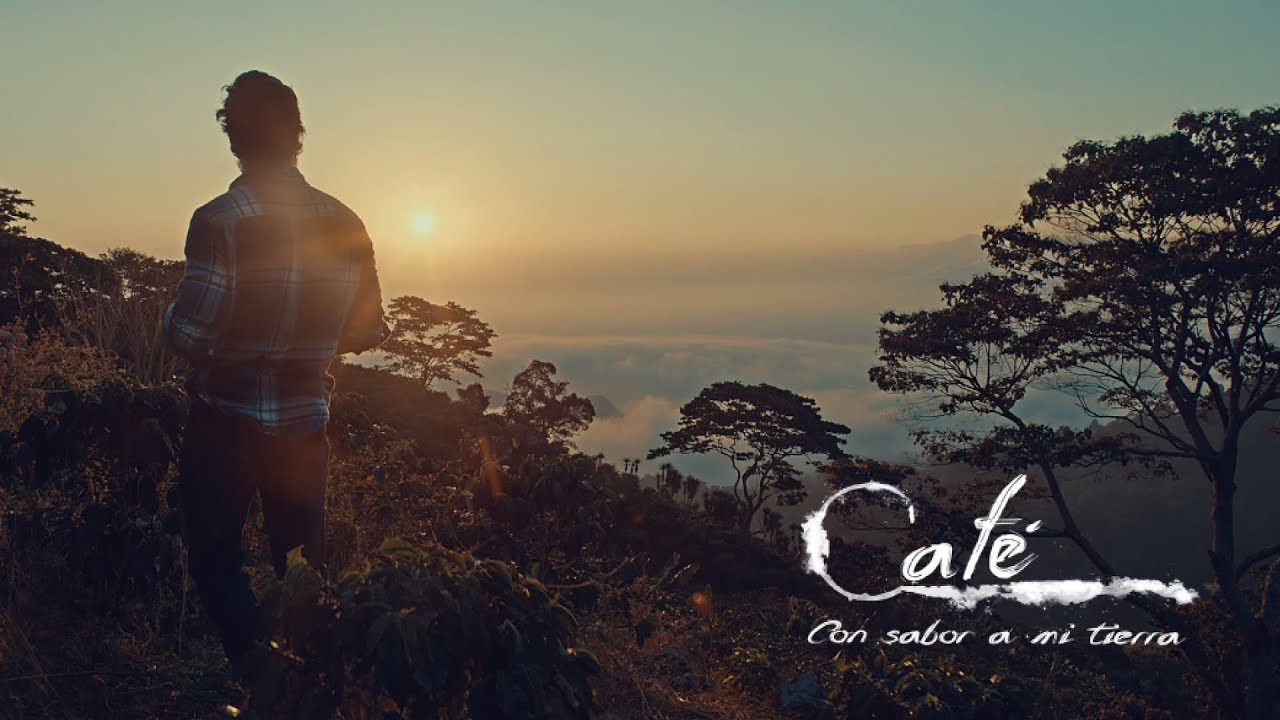 Café con Sabor a mi Tierra TRÁILER Oficial YouTube