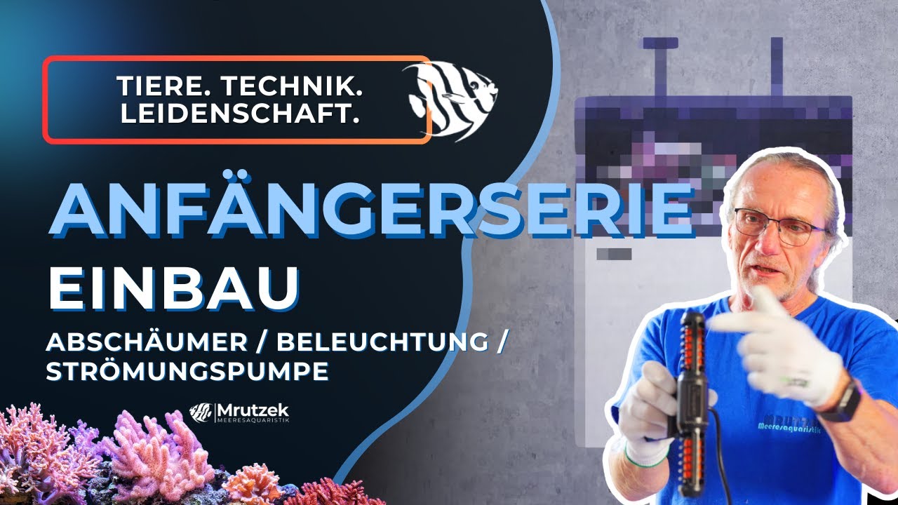 Teil 4: Einbau der Technik (Abschäumer, RFP, Strömungspumpen etc.) | Meerwasseraquarium für Anfänger
