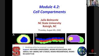 CompuCell3D Workshop 4.2 Compartmental Cells August 4 2022 Profile