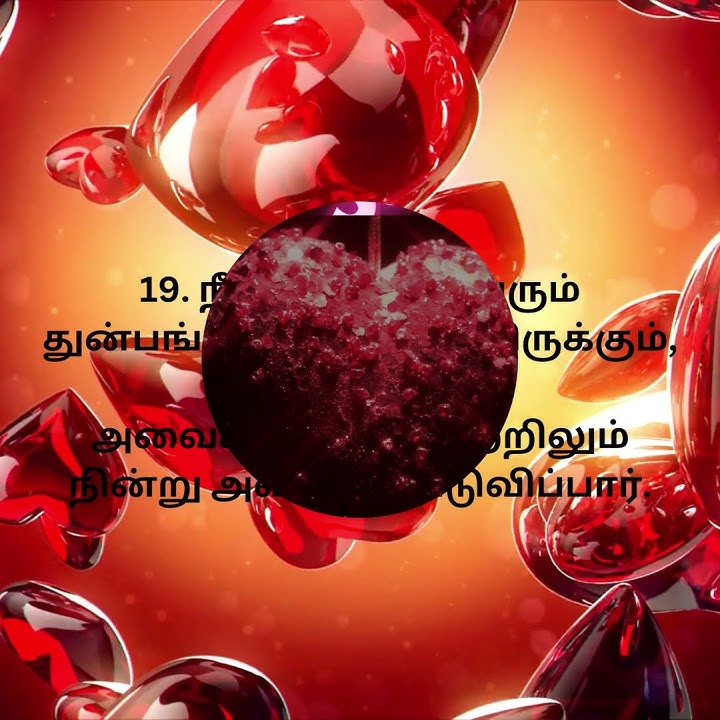 JESUS (இயேசு) | சங்கீதம் 34 | TAMIL BIBLE | WORD OF GOD | PSALM 34 | 16-22