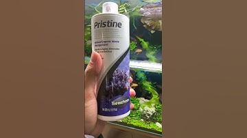 Hiểu về 2 dòng vi sinh Seachem Stability và Seachem Pristine - Phần 2 #thuysinh4u