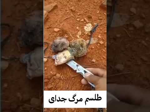  مرگ و جدایی