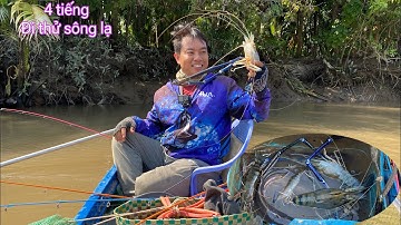 Câu tôm càng sông- nay đi thử sông lạ, ai ngờ trúng tôm- con càng khủng
