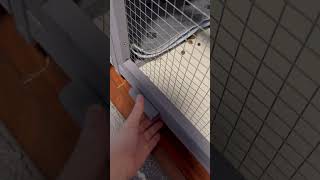 Wayfair Defective Rabbit Hutch