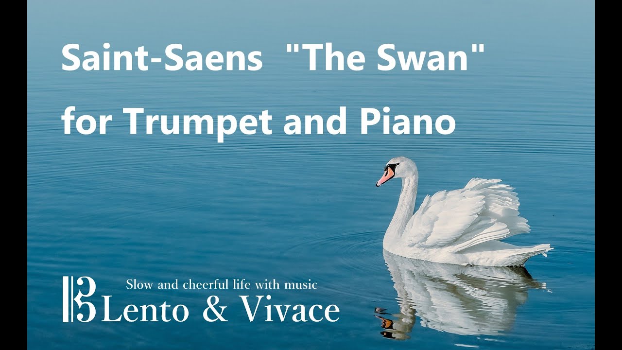サンサーンス「白鳥」トランペット独奏 Saint-Saens 