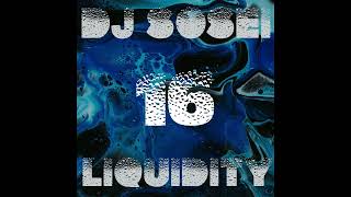 DJ Sosei - Liquidity 16 (Liquid Drum & Bass)
