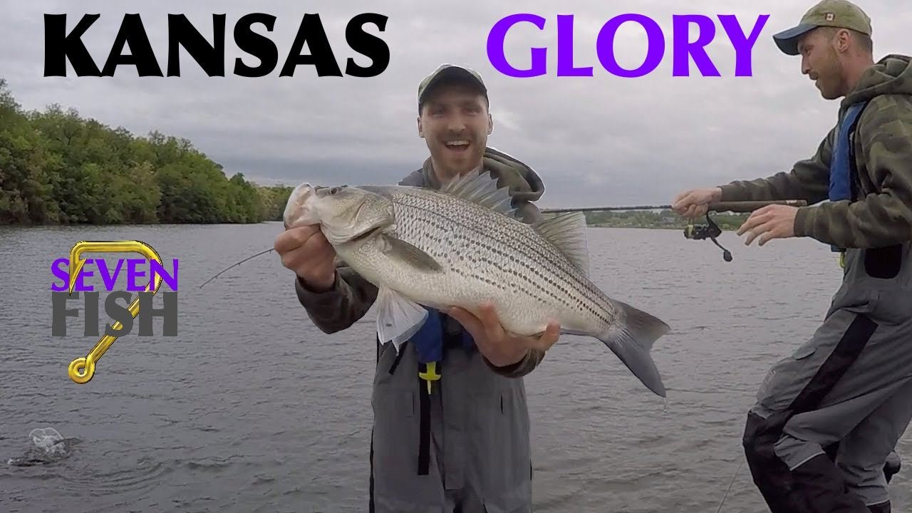 Catching a BIG WIPER while crappie fishing! Seven Fish S4 E6 YouTube