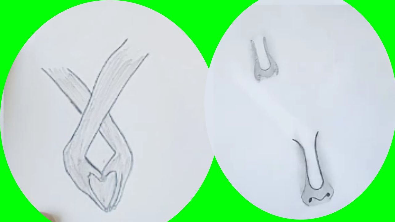 how to draw two hands holding each other // how to draw nose for beginners