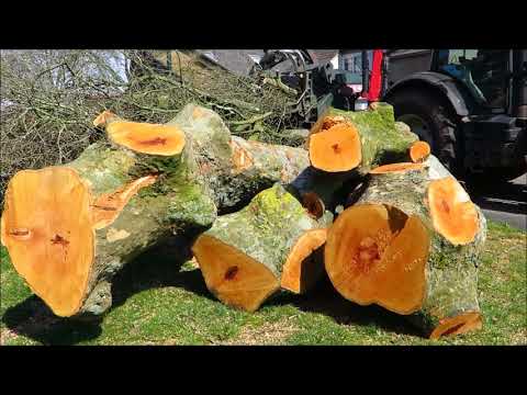 Bomen versnipperen Cranendonck 2018