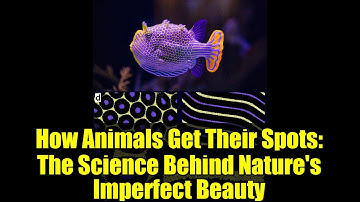 How Animals Get Their Spots: The Science Behind Nature