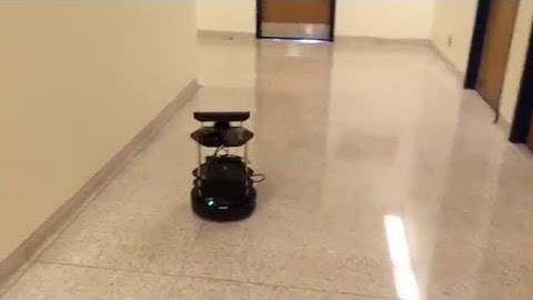 Robotic guide dog