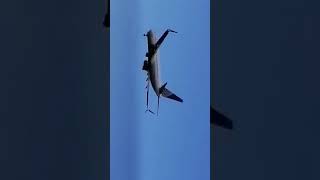 Wait For It shorts asmr shortsfeed youtubeshorts