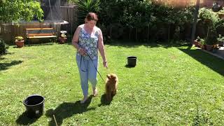 Learning Rally Exercises - Moving Side Step Right followed by Loop Right