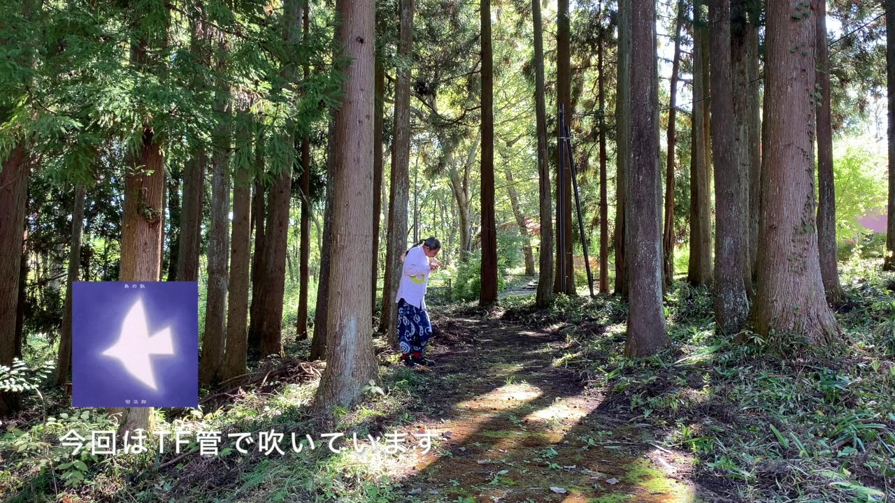 鳥の歌【鳥の歌】より - YouTube