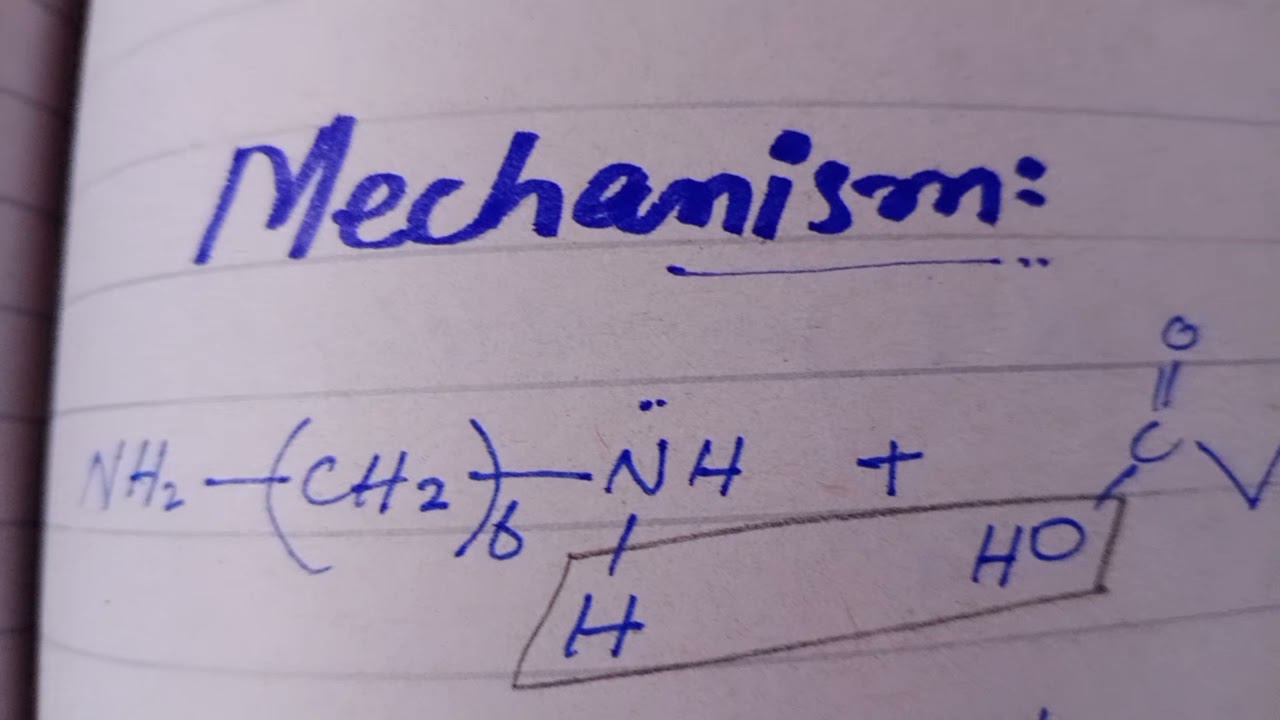Nylon 6,10Synthesis YouTube
