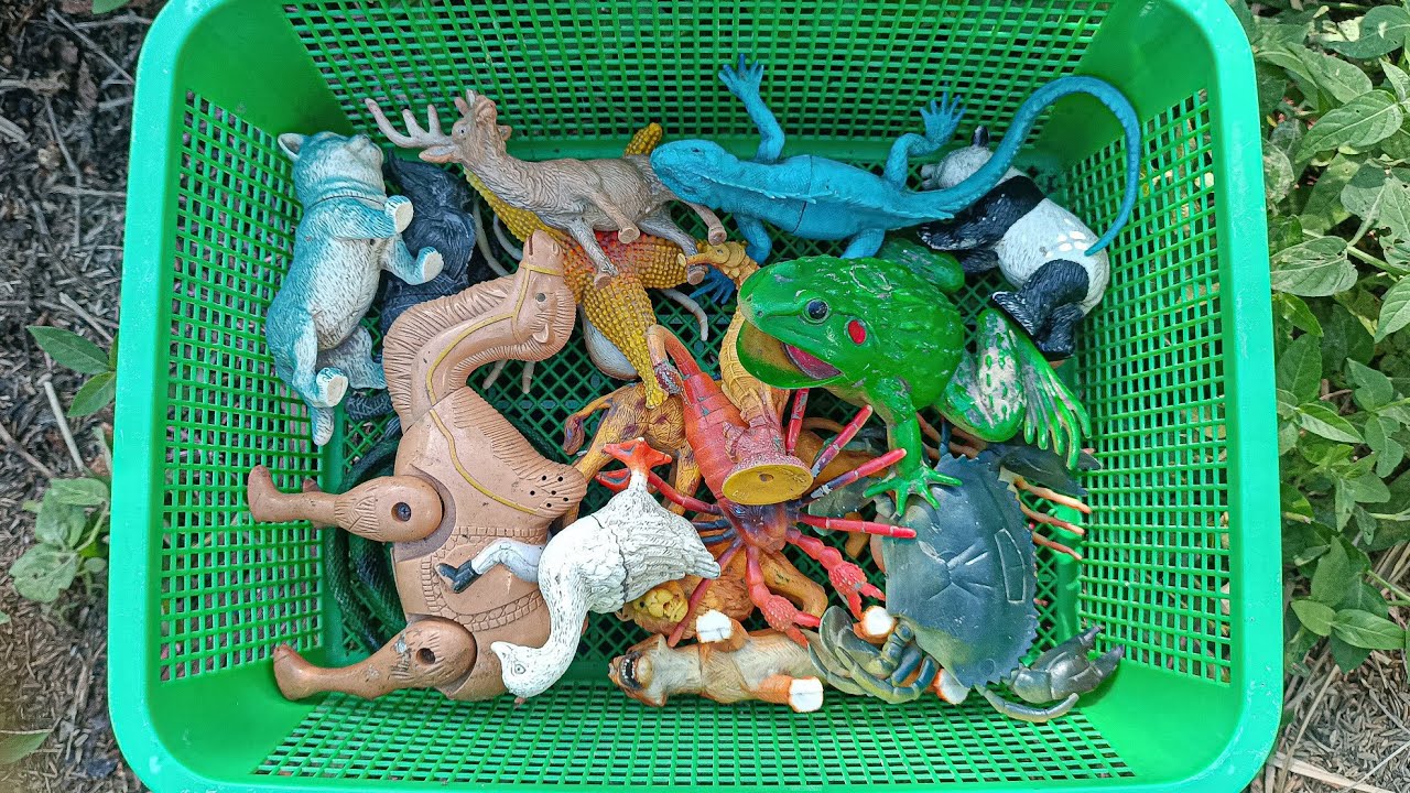 Mencari hewan laba-laba, bebek, angsa, ayam, gajah, simpanse, singa, unta, buaya, kangguru