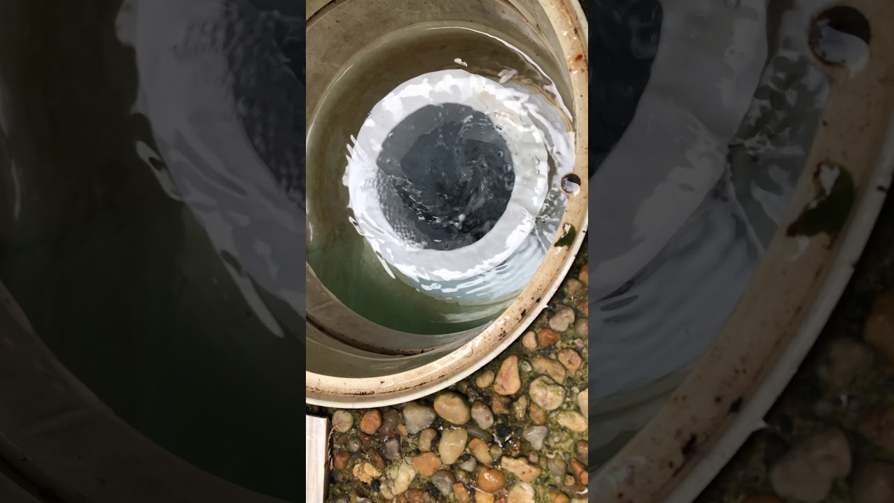 American Floating Skimmer Weir YouTube