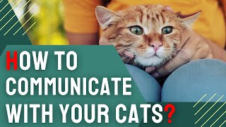 How to Communicate With Your Cat? 🐱 | Tips and Tricks for Cat Owners by Charming Pet Guru Official 668 views 1 month ago 15 minutes
