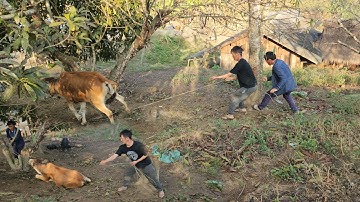 nyab pheej nkawv tu nyuj no nrau neeg heev li..7/2/2023