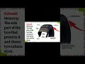 “Tyre Parts Every Driver Must Know – Quick Guide”