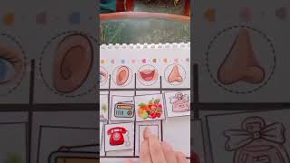 اسهل طريقة لتعليم الحواس الخمس  lookandlearnbook مامي_جديدة_اميرة_منير منتسوري تخاطب