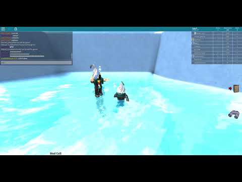 Roblox Console Bug