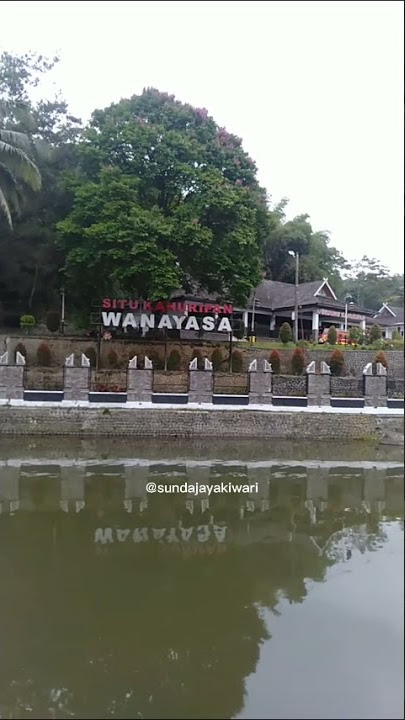 STORY WA SUASANA PEDESAAN JAWA BARAT PURWAKARTA KAMPUNG DESA LEMBUR KURING #shorts #storywa