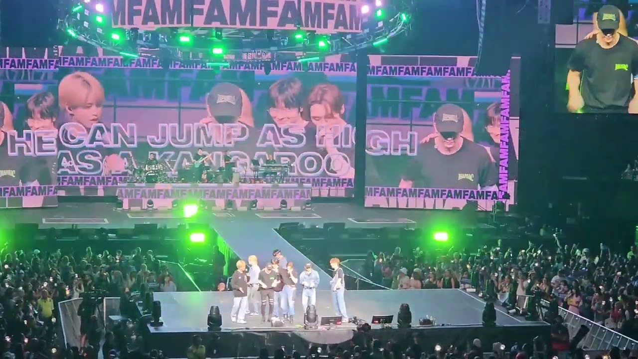 Stray Kids   Melbourne D1   FAM and Mirroh