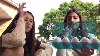 Egged On Challenge
