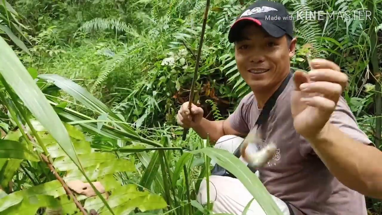 Niat mancing ikan lele malah dapat ikan mahal 