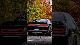 خلفيات سيارة دودج    #car_wallpaper         #Dodge