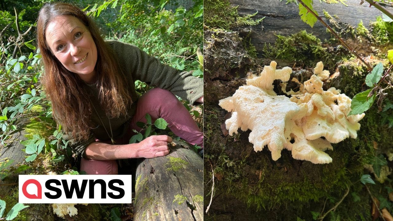 Professional forager has discovered one of Britain's rarest fungus ...