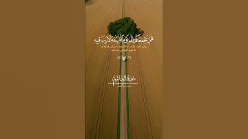 الآية رقم 26 من سورة الجاثية بصوت الشيخ القارئ سعد الغامدي #اكسبلور #المصحف #لايك #الرحمن