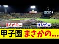 阪神 降雨で４７分試合中断の緊急事態・・・【野球情報】【2ch 5ch】【なんJ なんG反応】【野球スレ】
