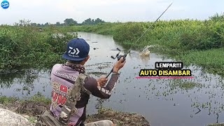 GAK NYANGKA BER-TAHUN2 DITINGGAL KUBANGAN INI JADI KOLAM BANDOT