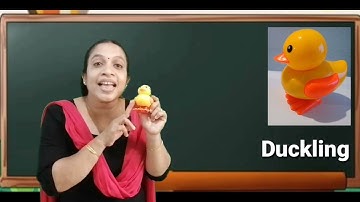 Std 1 English Unit 2 Class 8 White Board HI