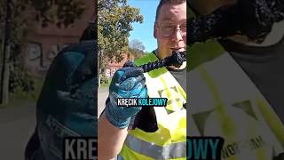 która to już śruba #magnetfishing #magnesneodymowy #viral #shortvideo #viralvideo #rzeka