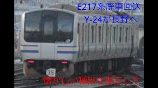 【特別快速幕】EF64牽引E217系クラY-24編成廃車回送配給