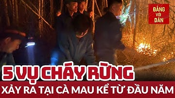 Tin tức mới nhất: Cà Mau xảy ra 5 vụ cháy rừng từ đầu năm | Đảng với Dân