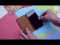 Beginning of video