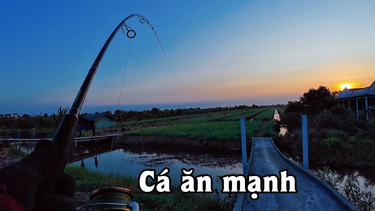 Vùng này lúc nào cũng nhiều cá | THÚ VUI MIỀN TÂY. 38